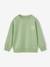 Jongenssweater met motief op de borst groen+pistache+rood - vertbaudet enfant 