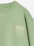 Sweat couleur motif poitrine Basics garçon pistache+rouge+vert - vertbaudet enfant 