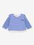 Baby T-shirt van katoen met lange mouwen, gestreept PETIT BATEAU blauw - vertbaudet enfant 