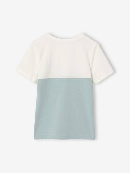 T-shirt garçon coloblock manches courtes ardoise+menthe+orange+vert anglais - vertbaudet enfant 