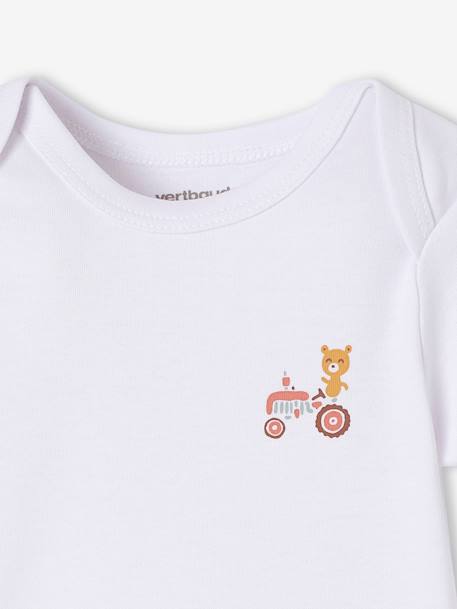 Lot de 5 bodies bébé garçon manches courtes coffret cadeau bleu - vertbaudet enfant 