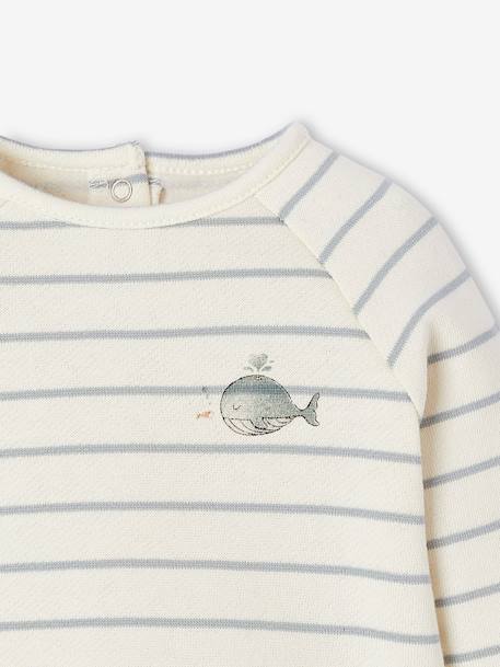 Set sweater en broek baby BEIGE CLAIR RAYE+gemêleerd blauw+lichtroze - vertbaudet enfant 