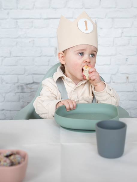 Assiette silicone avec ventouse ROSE+vert - vertbaudet enfant 