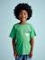 T-Shirt motif poitrine garçon vert+vert sapin - vertbaudet enfant 