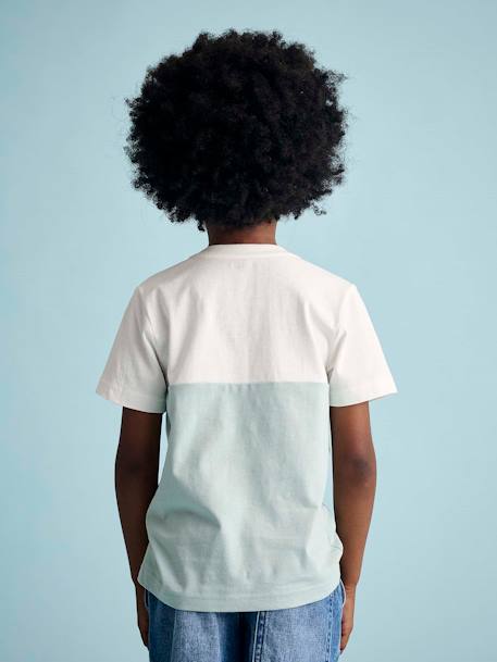 T-shirt garçon coloblock manches courtes ardoise+menthe+orange+vert anglais - vertbaudet enfant 