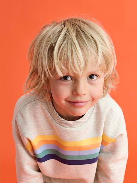 Sweat garçon col rond rayures graphiques blanc chiné+bleu grisé - vertbaudet enfant 
