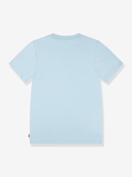 T-shirt Desert at Dusk LEVI'S® blauwgroen - vertbaudet enfant 