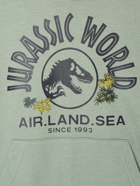 Sweat à capuche Jurassic World lichen - vertbaudet enfant 