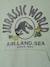 Sweat à capuche Jurassic World lichen - vertbaudet enfant 