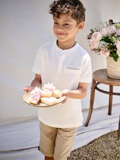 Garçon-T-shirt, polo, sous-pull-Polo garçon col Mao 