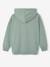 Jungen Kapuzensweatshirt JURASSIC WORLD korstmos - vertbaudet enfant 