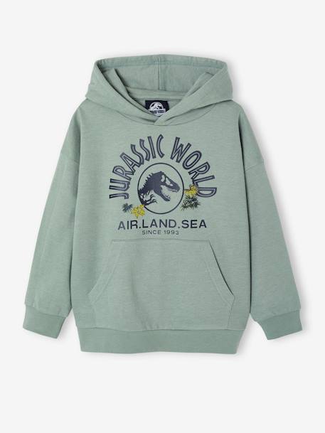 Jungen Kapuzensweatshirt JURASSIC WORLD korstmos - vertbaudet enfant 