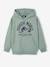 Sweat à capuche Jurassic World lichen - vertbaudet enfant 