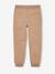 Pantalon garçon jogger facile à enfiler anthracite+bleu grisé+caramel - vertbaudet enfant 