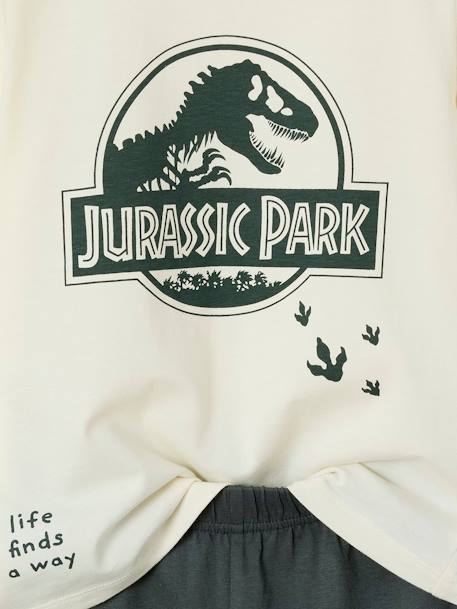 Jungen Sommer-Schlafanzug JURASSIC WORLD Oeko-Tex muisgrijs - vertbaudet enfant 