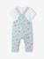Ensemble 3 pièces naissance salopette + body + foulard bleu - vertbaudet enfant 