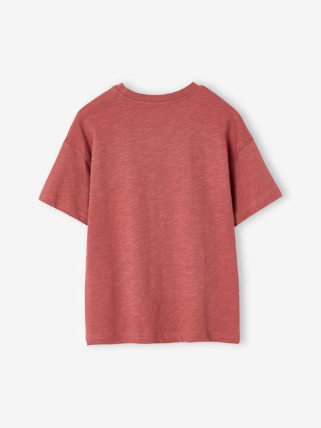 Jongensshirt met natuurmotief ecru+terracotta - vertbaudet enfant 