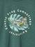 T-shirt motif nature garçon lichen - vertbaudet enfant 