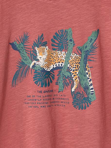 T-shirt motif nature garçon écru+terracotta - vertbaudet enfant 