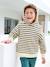 Sweat garçon à capuche rayé style marinière marine - vertbaudet enfant 