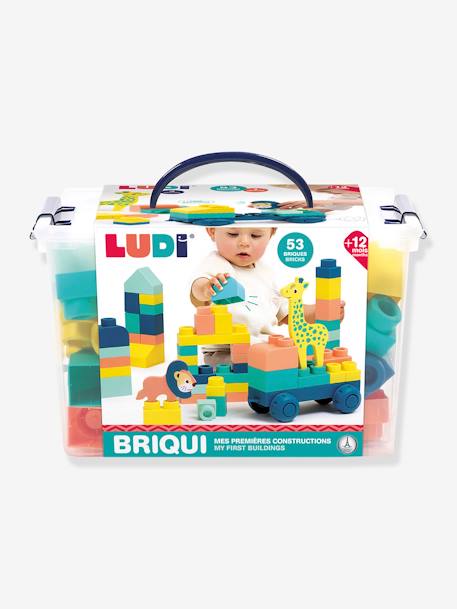Briqui, mijn 1e LUDI constructies meerkleurig - vertbaudet enfant 