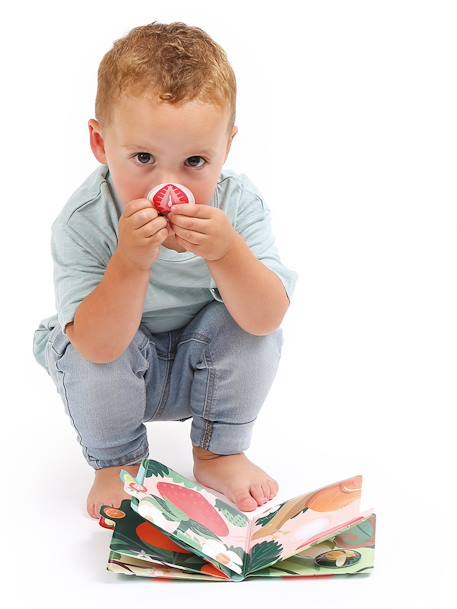 LUDI geurenboek meerkleurig - vertbaudet enfant 