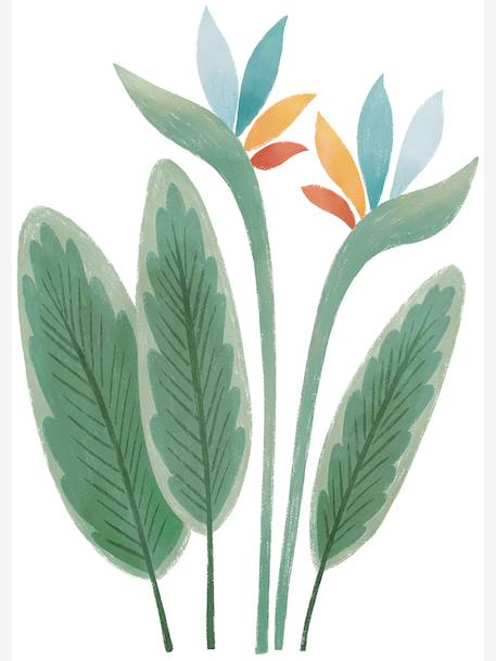 Stickers Fleurs oiseau du paradis YUTSUNI vert - vertbaudet enfant 