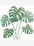 Stickers feuille Monstera YATSUNI vert - vertbaudet enfant 