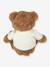 Peluche Teddy Percy avec pull 30 cm Teddy Hermann marron - vertbaudet enfant 