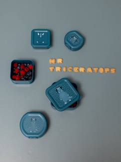 -TRIXIE lunchbox met clip 