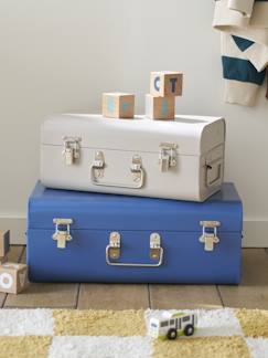 -Set van 2 metalen koffers