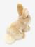 Pluchen zittend konijn 18 cm TEDDY HERMANN beige - vertbaudet enfant 