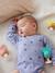 3 zuignaprammelaars - HAPE dieren meerkleurig - vertbaudet enfant 