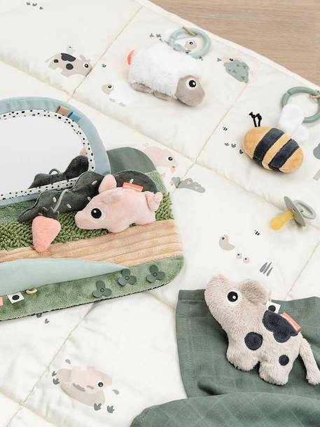 Leertapijt Tummy time Tiny farm DONE BY DEER meerkleurig - vertbaudet enfant 