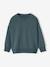 Set van 2 effen sweaters met lange mouwen voor jongens blauwgroen - vertbaudet enfant 