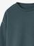 Set van 2 effen sweaters met lange mouwen voor jongens blauwgroen - vertbaudet enfant 