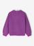 Pull fille col fantaisie forme loose marine+rayé marine+violet - vertbaudet enfant 