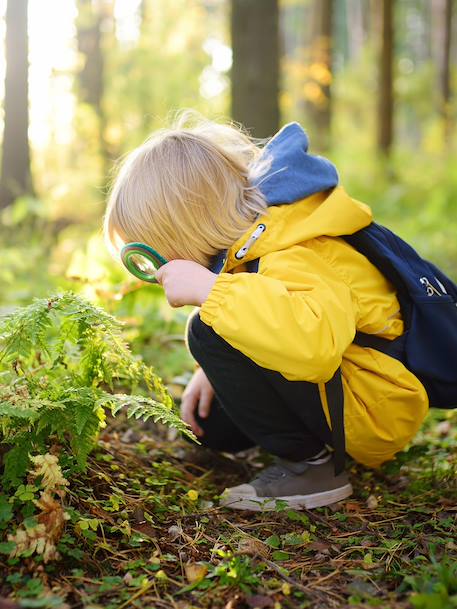 Kit de découverte de la nature vert - vertbaudet enfant 