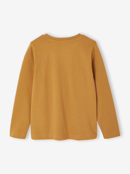 T-shirt imprimé garçon anthracite+blanc chiné+bleu canard+jaune+noix de pécan - vertbaudet enfant 