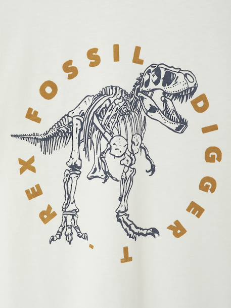 Basics T-shirt met lange mouwen voor jongens met een speels of grafisch motief dennen+ecru+gemêleerd wit+middenblauw+mosterdgeel+nachtblauw - vertbaudet enfant 