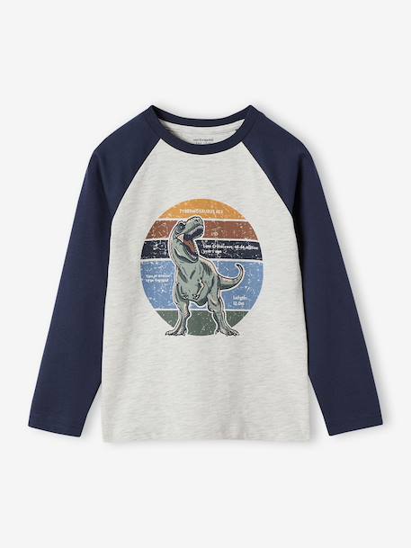 T-shirt motif graphique garçon manches raglan blanc chiné+gris chiné+kaki+lichen+noix de pécan - vertbaudet enfant 