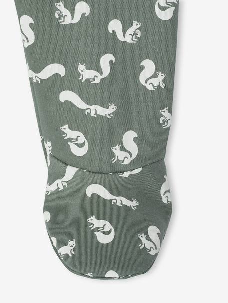 Set van 2 babyslaappakjes 'eekhoorn' in interlock groen - vertbaudet enfant 