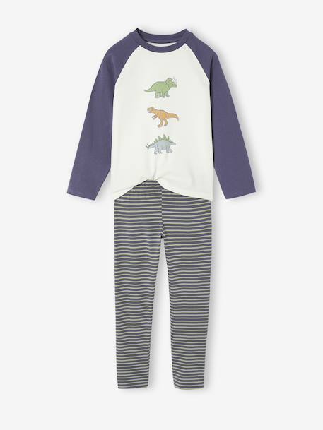 Lot 2 pyjamas garçon dinosaure bleu ardoise - vertbaudet enfant 