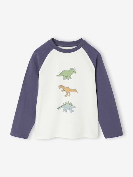 Lot 2 pyjamas garçon dinosaure bleu ardoise - vertbaudet enfant 
