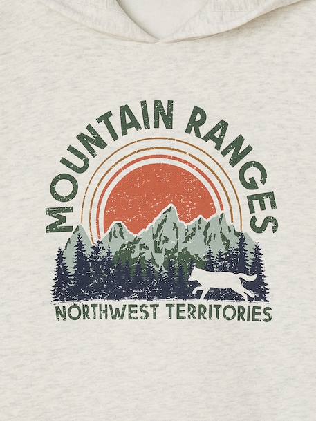 Sweater met capuchon met geplaatste print gemêleerd wit+korstmos+marineblauw+pecannoot - vertbaudet enfant 