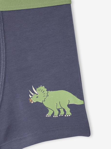 Lot 5 Boxers Garçon Dinosaures bleu ardoise - vertbaudet enfant 