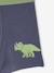 Lot 5 Boxers Garçon Dinosaures bleu ardoise - vertbaudet enfant 
