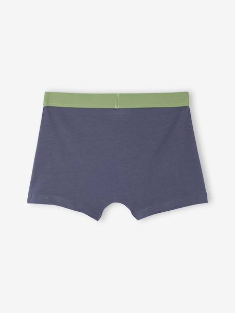 Set van 5 boxershorts voor jongens met dinosaurussen leiblauw - vertbaudet enfant 