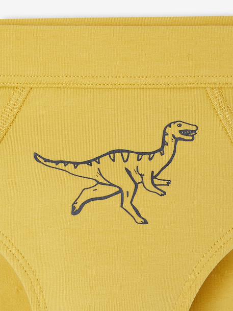 Lot 7 slips Dino garçon marine - vertbaudet enfant 