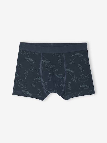 Set van 7 boxershorts voor jongens met strepen en berenprint groen - vertbaudet enfant 